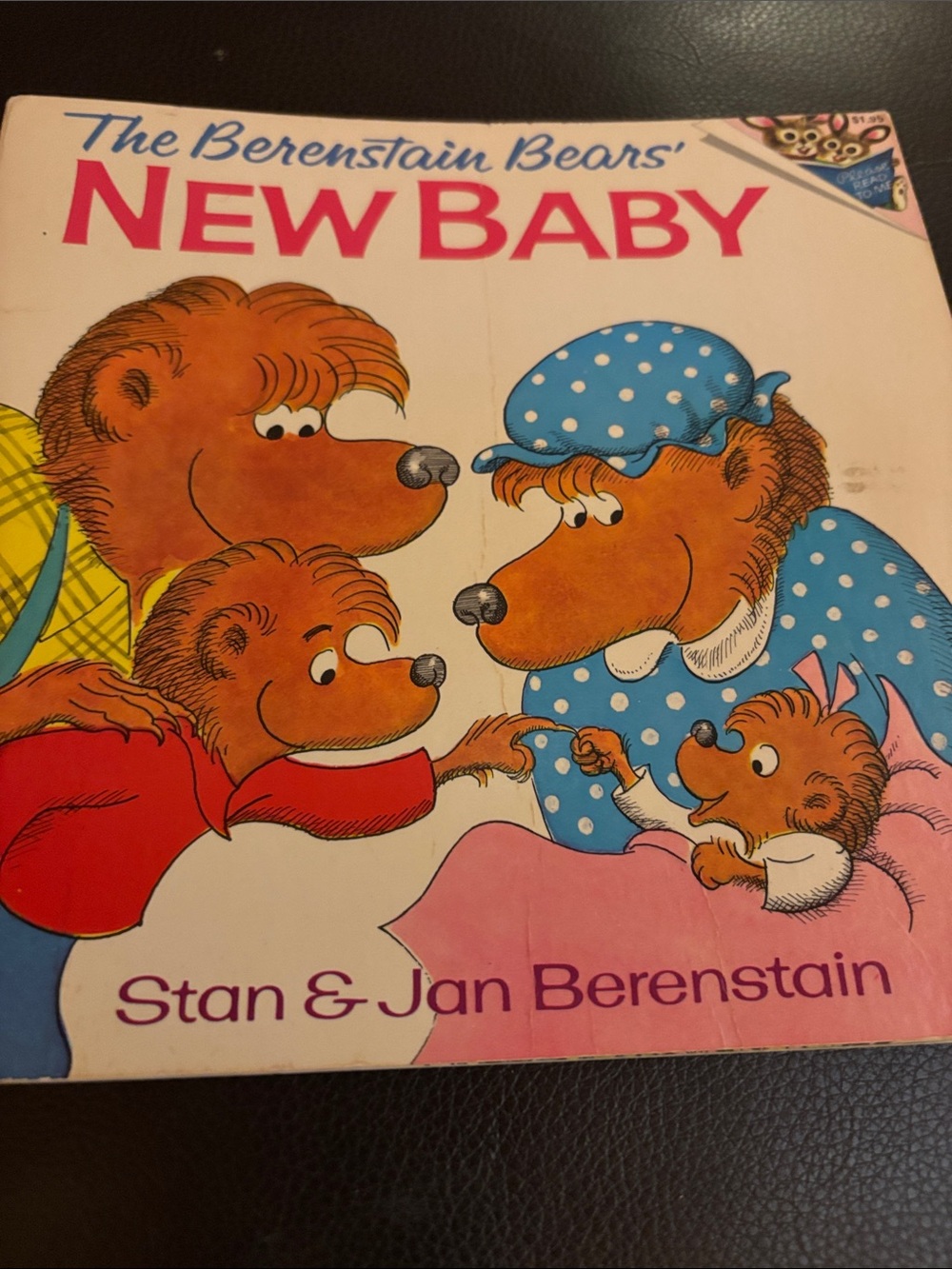 The Berenstain Bears- new baby